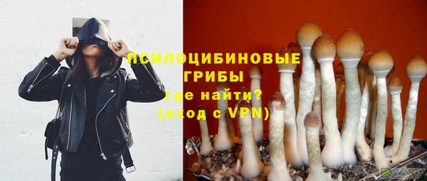 прущий лед Арсеньев