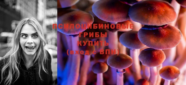 прущая мука Аркадак