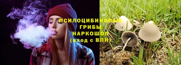 прущий лед Арсеньев